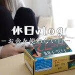 【日常vlog】手取り12万円のお金を使わない休日🌱【一人暮らし】