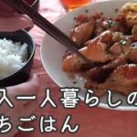 【節約生活】低収入一人暮らしのリアルな節約ご飯/1食300円以下の料理記録
