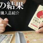 2024年3月分🌸300万貯めるまでの道のり｜家計簿｜購入品紹介