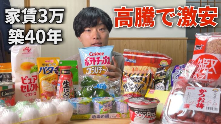 【貧乏アラサー】高騰爆進中に節約の為に激安店で爆買い